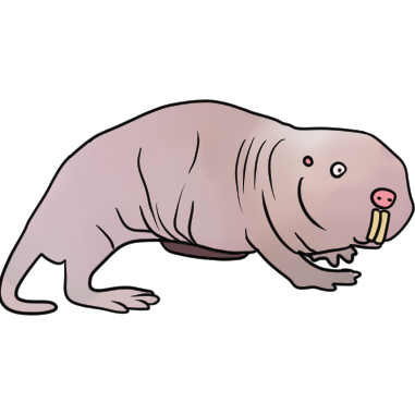 a naked mole rat facing the right